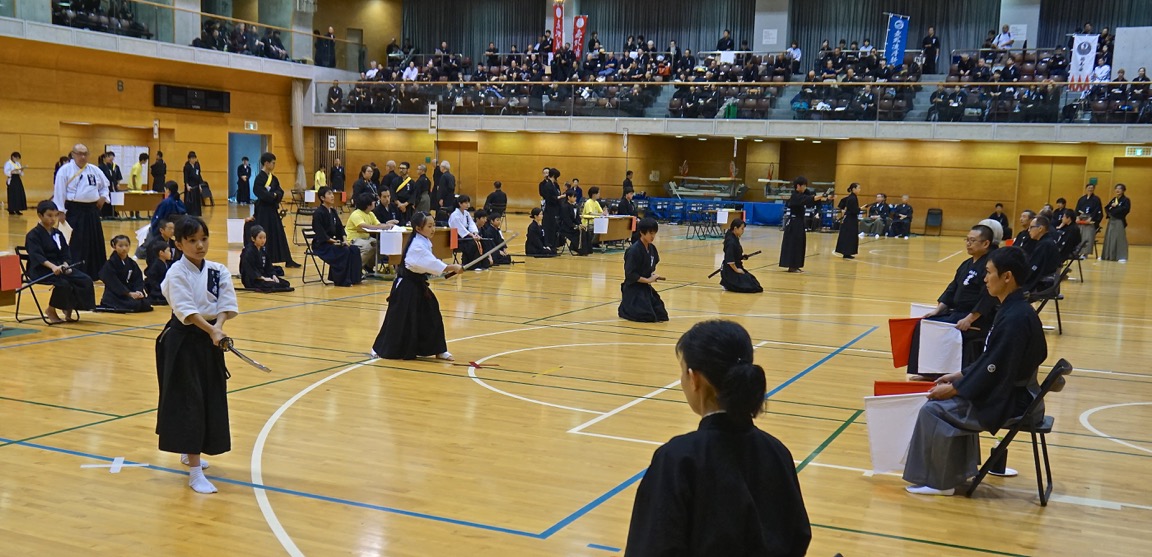 第13回居合道回国際大会